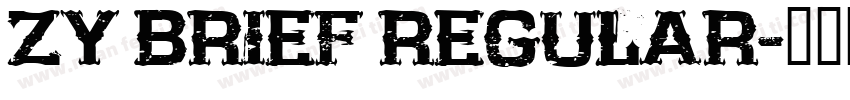 ZY Brief Regular字体转换
